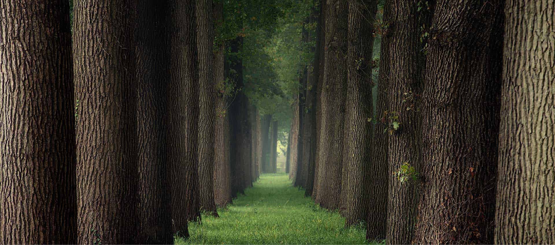 Selolit Fabr. fotoğraf 1