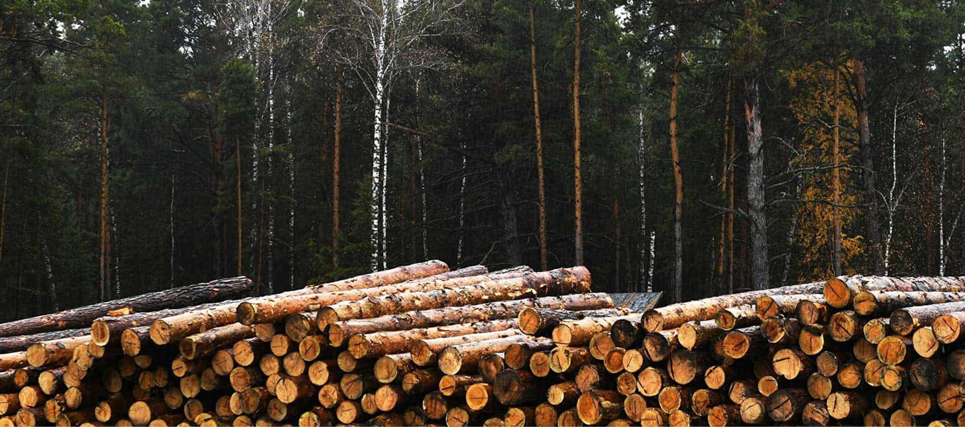 Selolit Fabr. fotoğraf 2